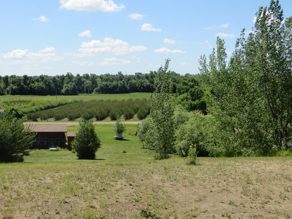 Orchard View Bed And Breakfast Moose Jaw Exterior photo
